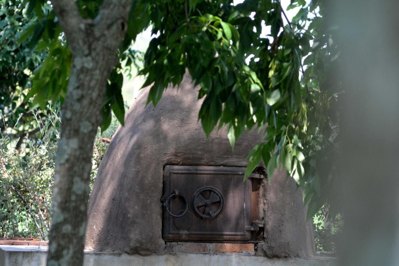 La Monturera, Loft De Campo Lägenhet Colonia del Sacramento Exteriör bild
