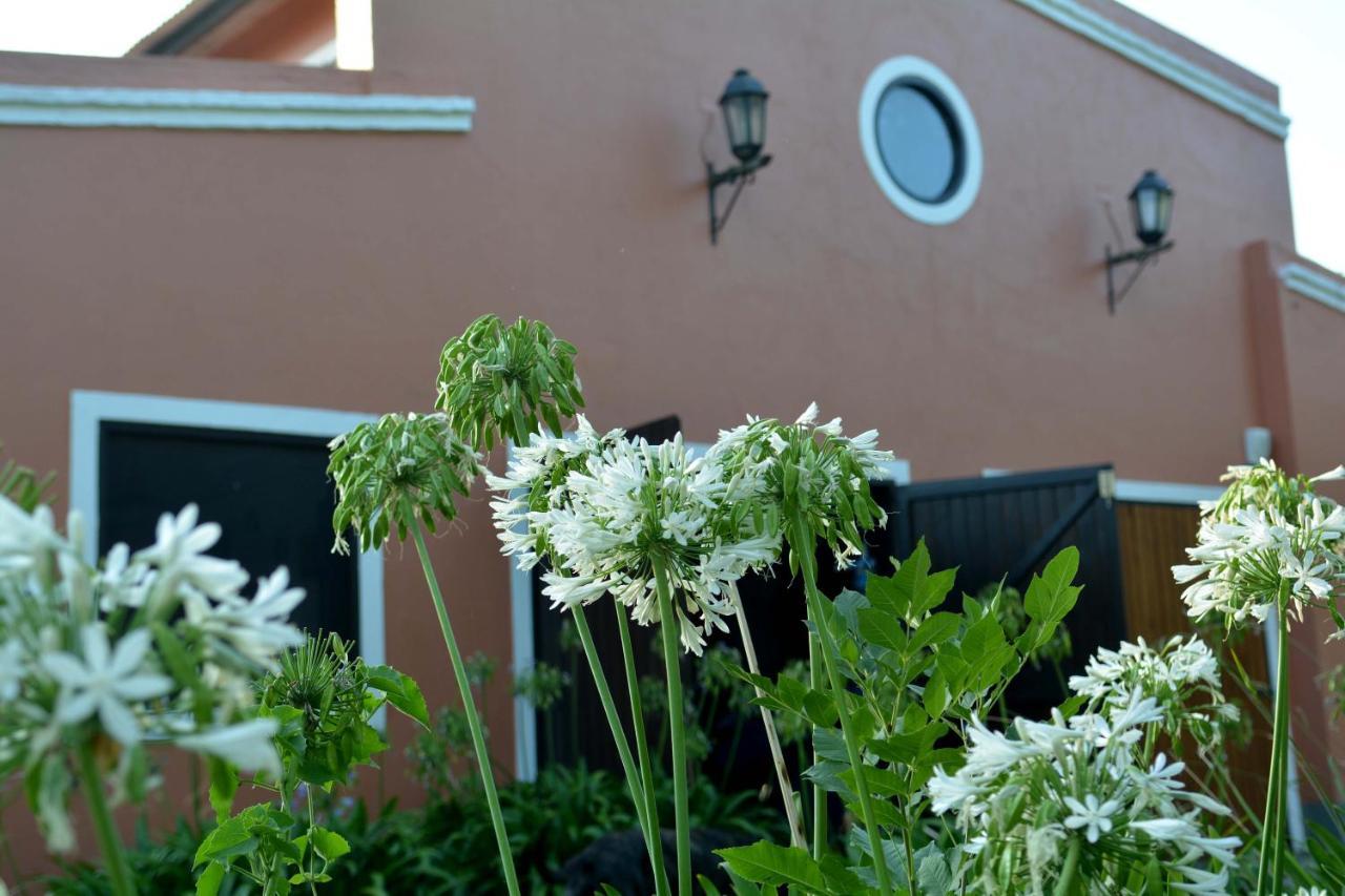 La Monturera, Loft De Campo Lägenhet Colonia del Sacramento Exteriör bild