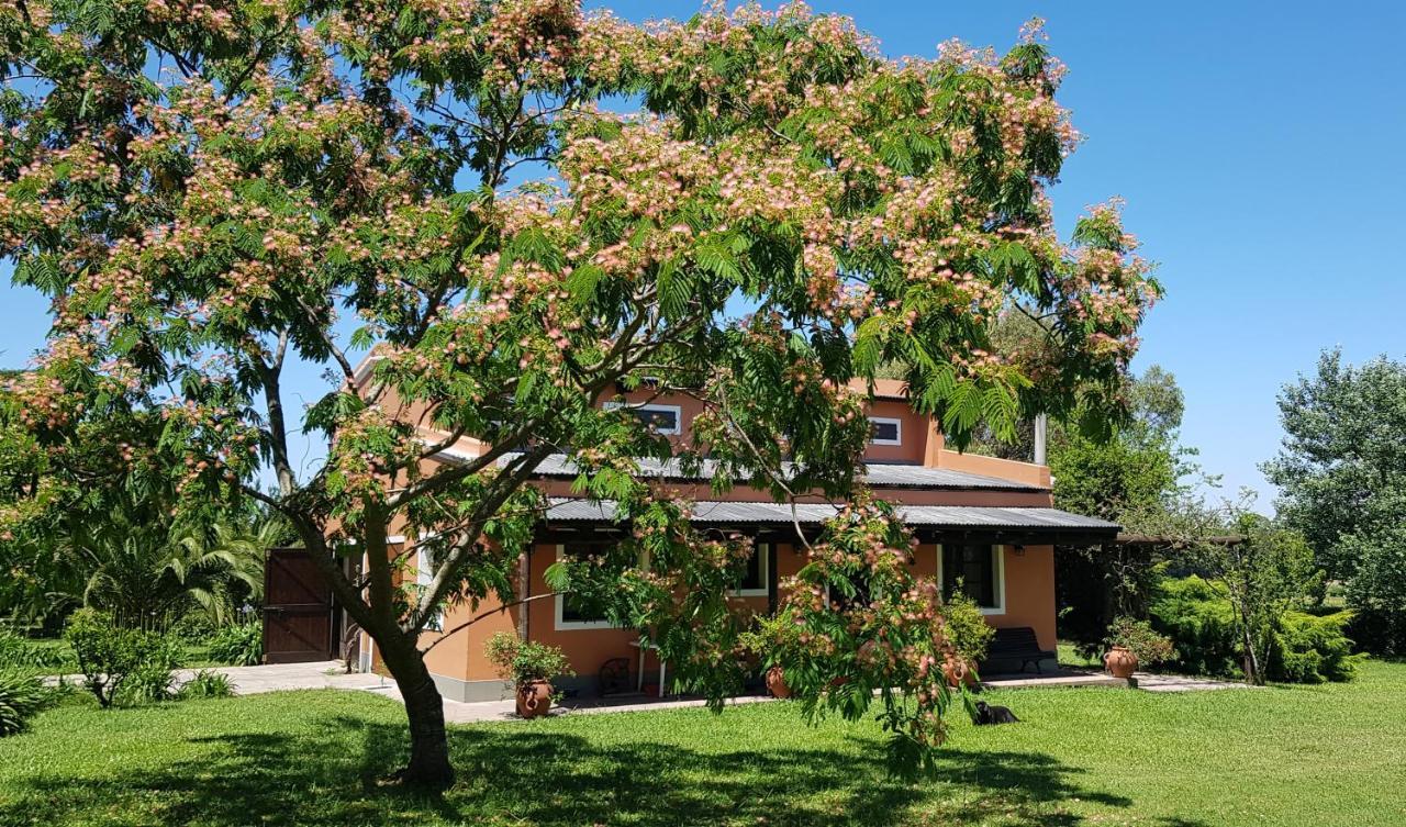 La Monturera, Loft De Campo Lägenhet Colonia del Sacramento Exteriör bild